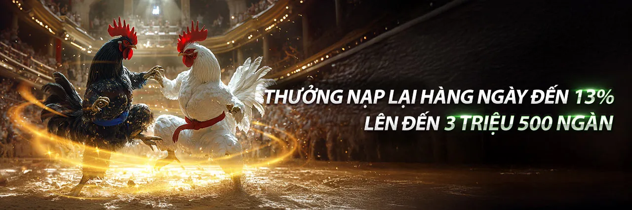 Hình ảnh chính Câu hỏi thường gặp mb666 khuyến mãi